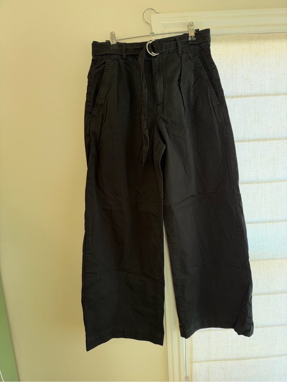 Everlane Black Wide-Leg Chinos with Waist Tie
